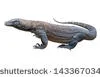 Le dragon de Komodo
