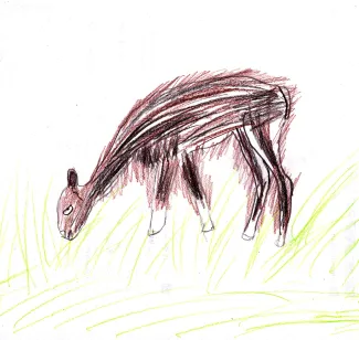 Vigogne
