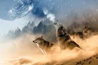 Le loup
