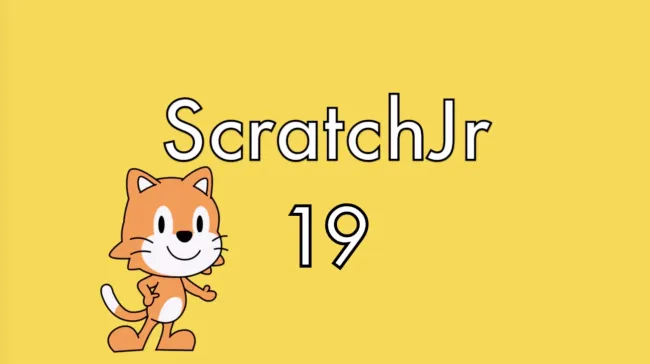 19