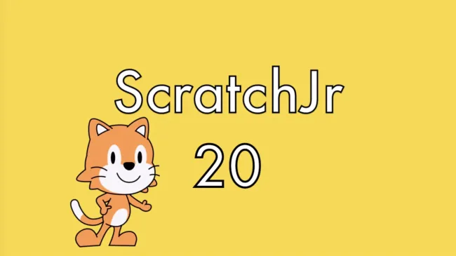 20