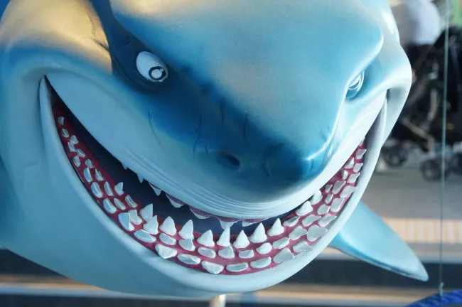 Les dents de l'aquarium