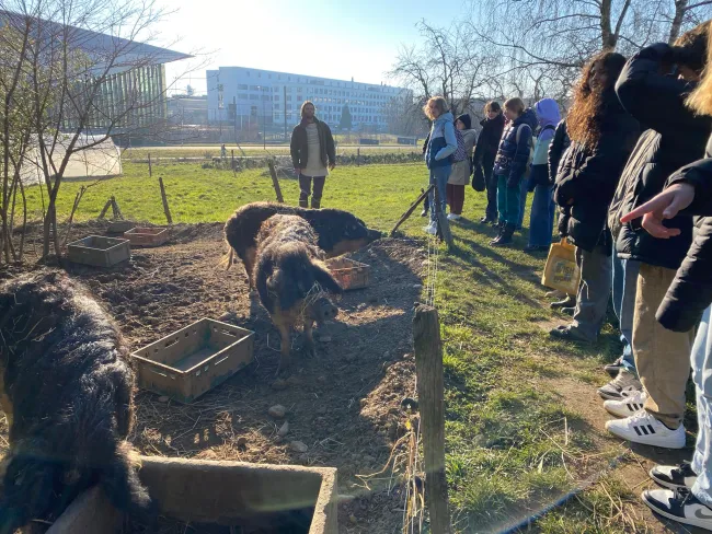 podcast 02_Ferme de Bassenges
