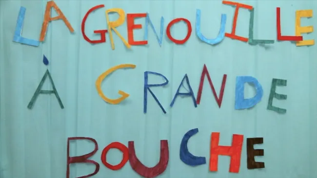 La grenouille à grande bouche