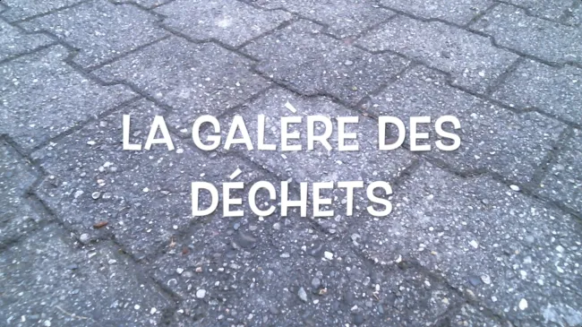 🏆 Prix du meilleur scénario original et Prix des écoliers | La galère des déchets