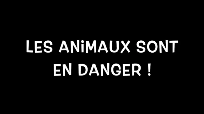 Les animaux sont en danger !
