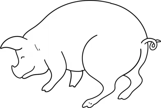 das Schwein