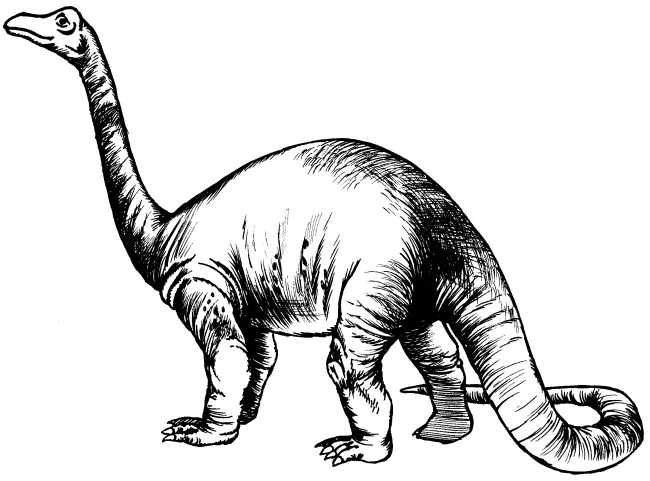 les diplodocus