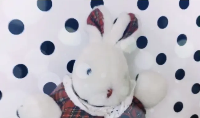 26 lapins sèment la pagaille