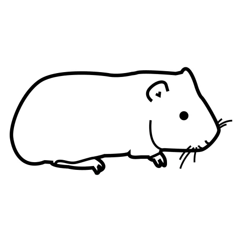 der Hamster