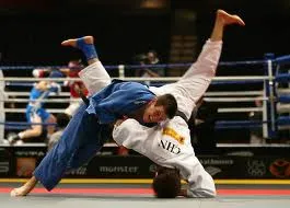 Le Judo