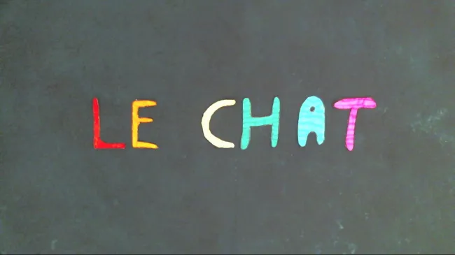 Le chat