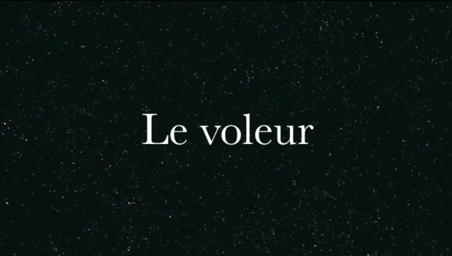 Le voleur