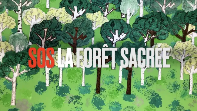 SOS la forêt sacrée