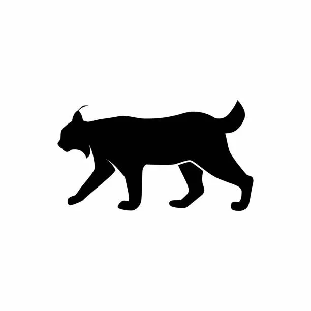 Le lynx