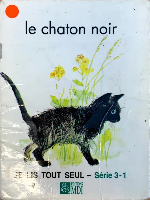 Le chaton noir