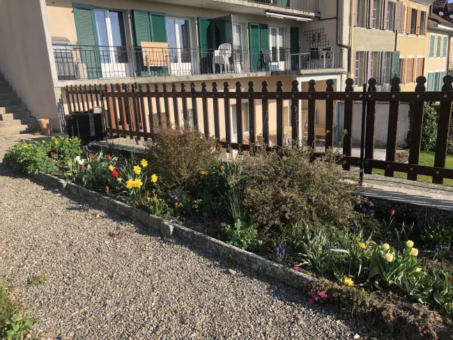 C'est le printemps!