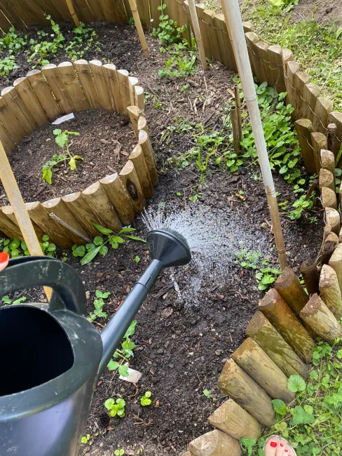 podcast 10_Le potager de notre école