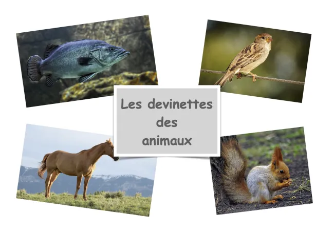 Les devinettes des animaux 2