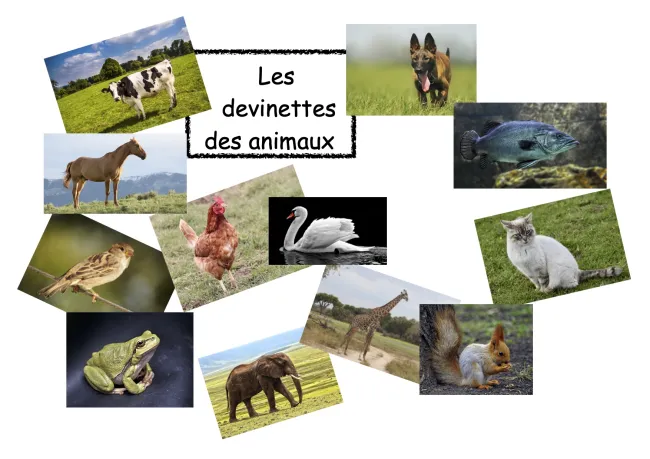Les devinettes des animaux