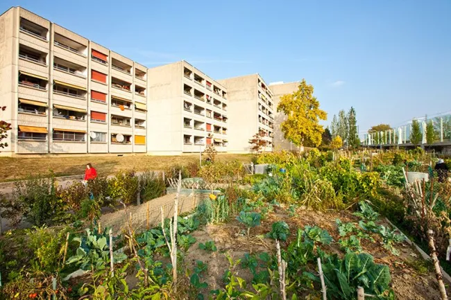 podcast 11_Les plantages communaux