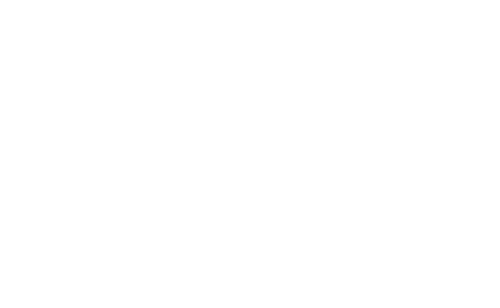 Luge