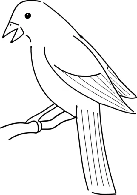 der Vogel