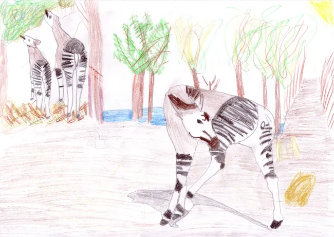 l'okapi