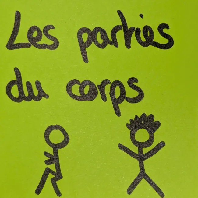 Vocabulaire - Les parties du corps