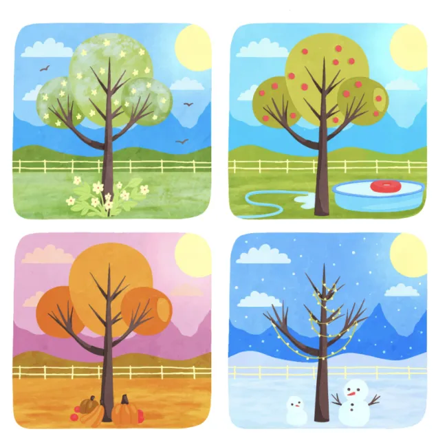 Hana : Les saisons ❄️ 🌸 ☀️ 🍁