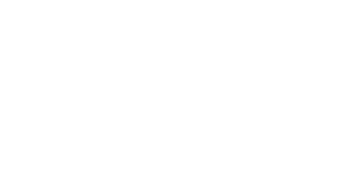 Skeleton