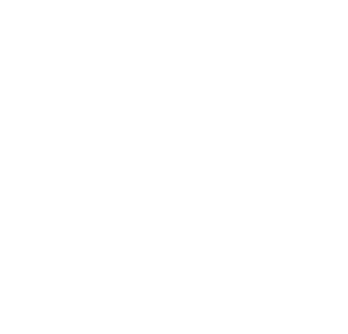 Snowboard