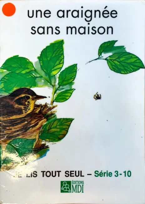 Une araignée sans maison