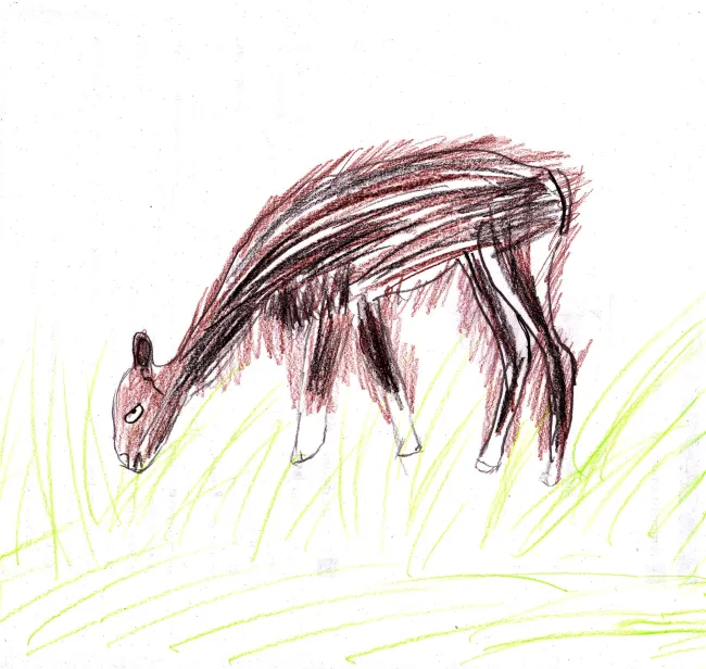 Vigogne